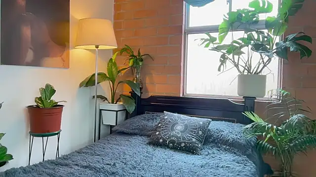 Andy_Belier23 webcam