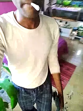 KeptupInosine webcam