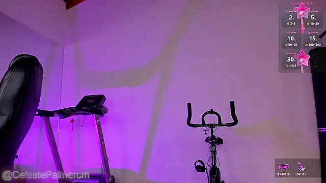 CelestePalmer_ webcam