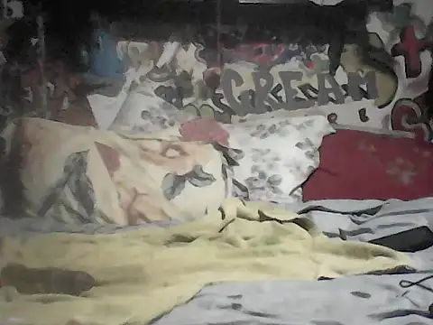 Twoslipperywhenwett webcam