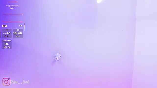 pau_live webcam
