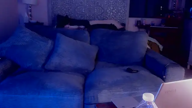 MISTERANDDEMI webcam