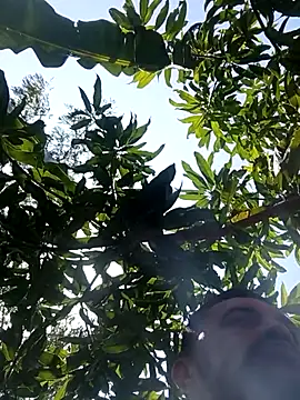 Hot_Veteran_1 webcam