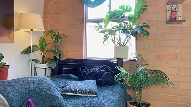 Andy_Belier23 webcam