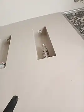 Exterminador48 webcam