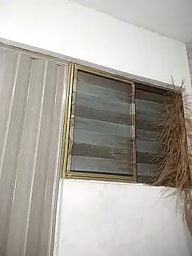 whitney_brown_ webcam