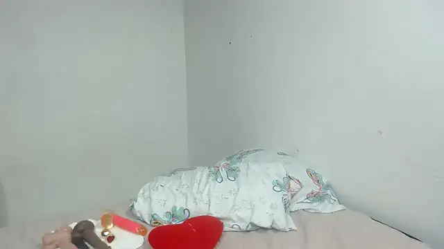 Agatha_browser webcam