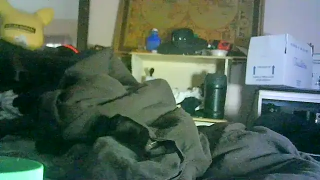 ON3YOULLN3VER_FIR3 webcam