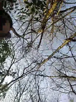 MaitresseMermaid webcam