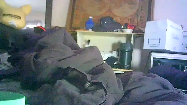 ON3YOULLN3VER_FIR3 webcam