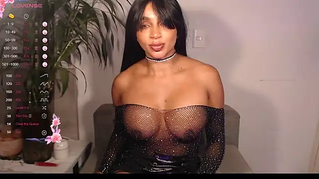 destinne_mill_ webcam