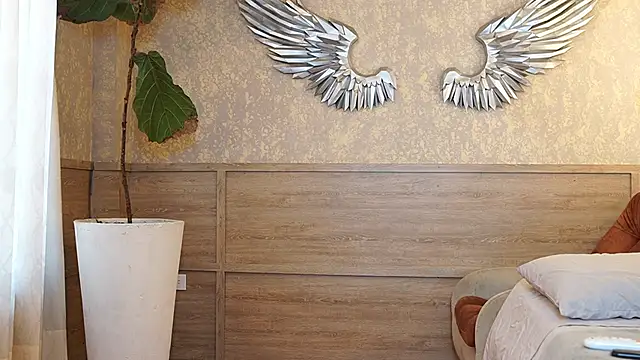 Ethan_occonor webcam