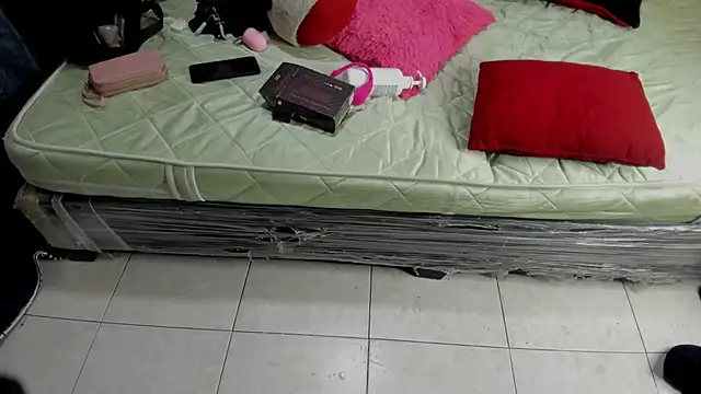 Dylan_and_Kim webcam