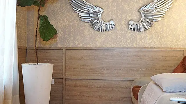 Ethan_occonor webcam