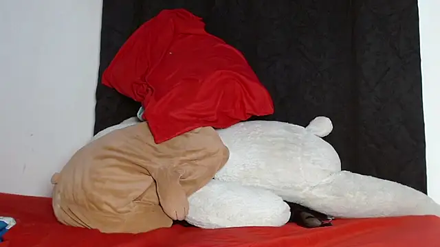 Henry_villa23 webcam