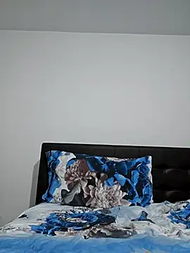 IsabelleCraft webcam