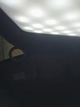 Scarlet_fiire webcam