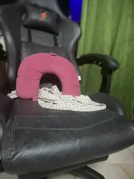 CooledMonastic webcam