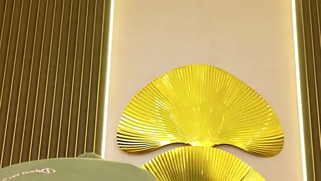 4example_Chloe webcam