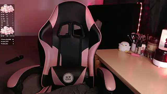 Theprojectsaraa webcam