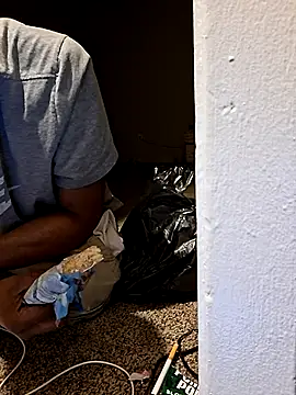 stressrliver88 webcam