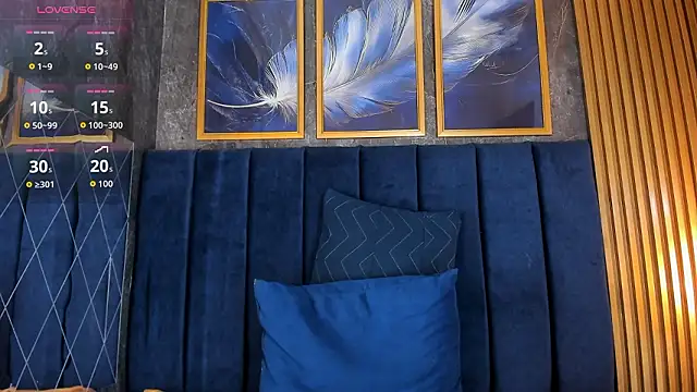 Lancelot_Benwick webcam