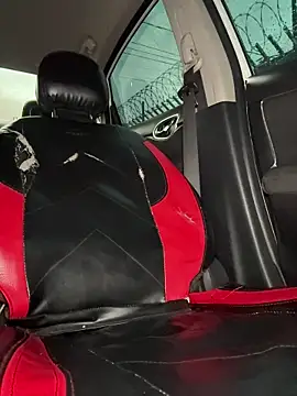 Scarlet_fiire webcam