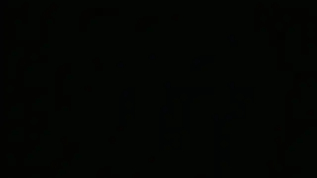 Lulu_and_smith webcam