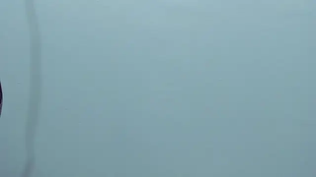 Vittoria_Conti_ webcam