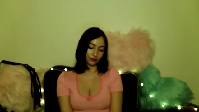 KaylaMagnetic webcam