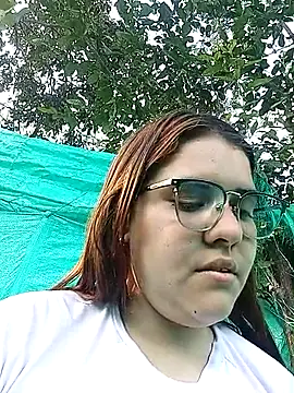 single_kitten webcam