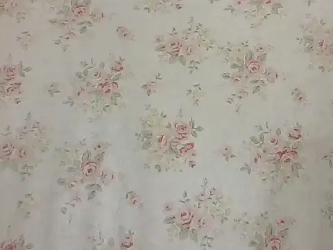 sarathchandru webcam