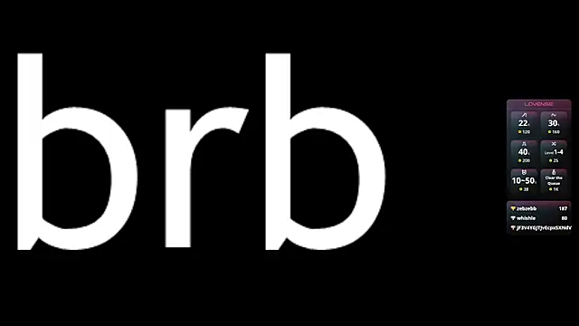 evan_reinhart webcam