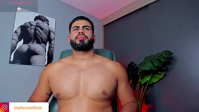 Preview of noah_crux