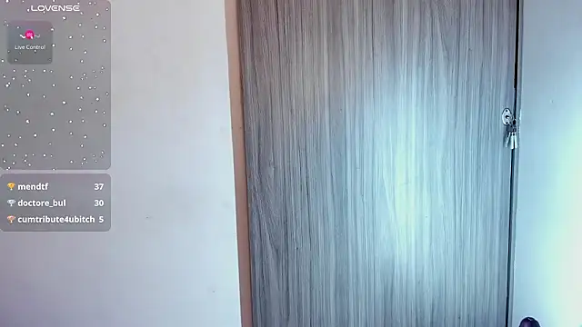 FaloonRoussel webcam