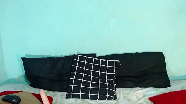 Ariatnaanddilan webcam