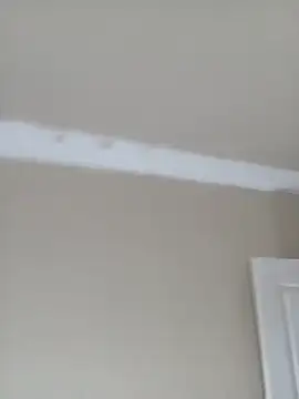 Maliaebonyfetish webcam