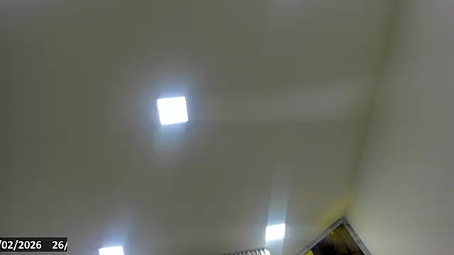 Thiana_Rogers webcam