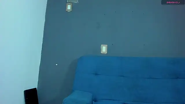 Raymond_Smith_ webcam