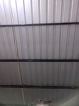 diablita48 (F young) - Para ser algunas cosas