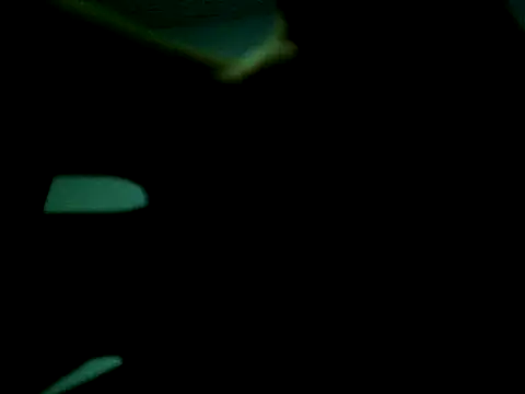 steffandjoshh420 webcam