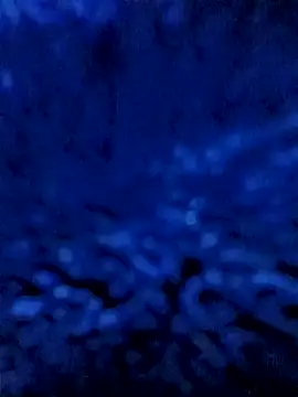 LustHaven-Sigma webcam