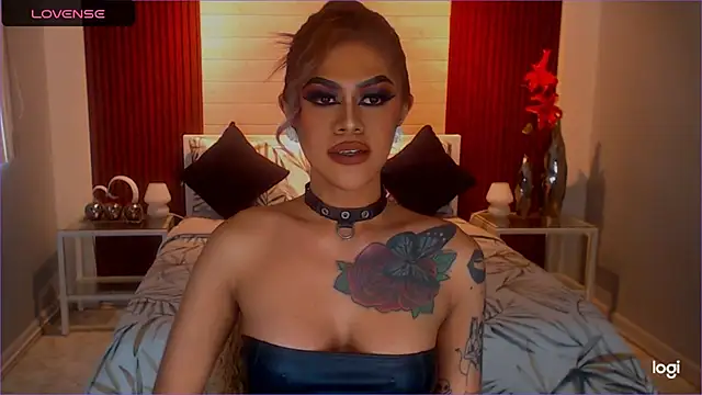 StellaStrong30 webcam