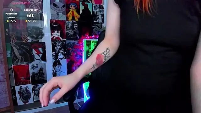 Ida_FaneStain webcam