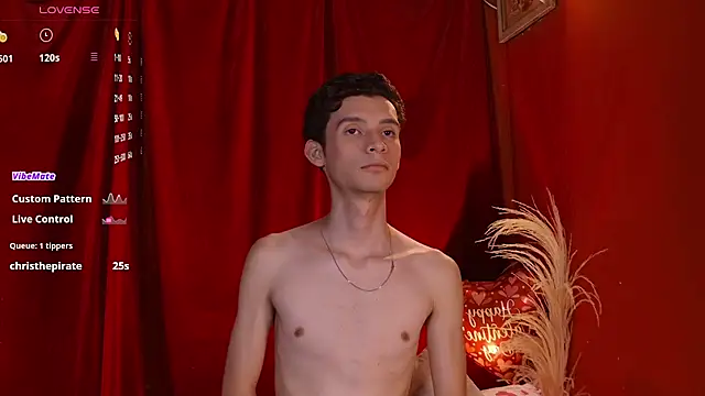 VicenteFerrer webcam