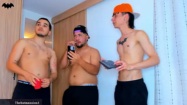 TheBatMansion webcam