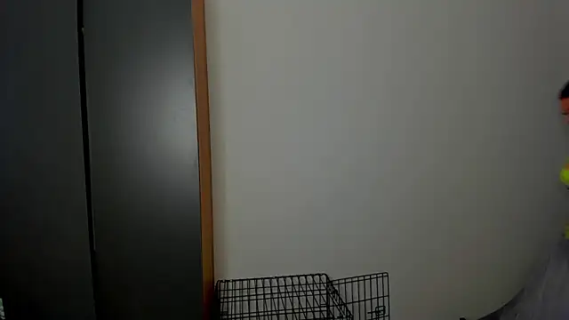 Patricia_bloom webcam