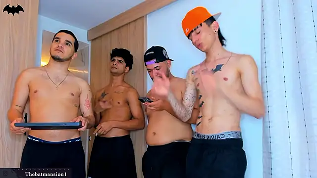 TheBatMansion webcam