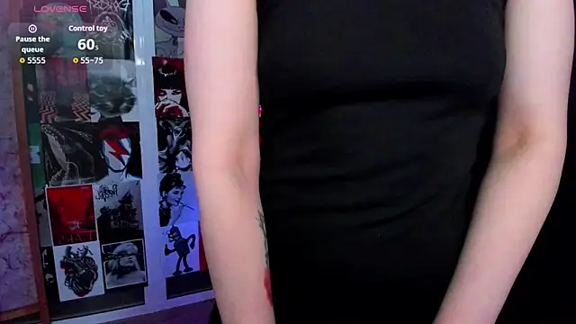 Ida_FaneStain webcam