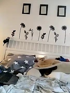 Tigerhill2023 webcam